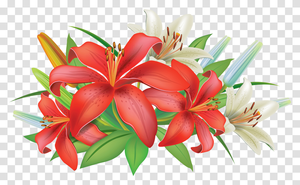 Lily Border Clipart Lily Flower Clipart Transparent Png