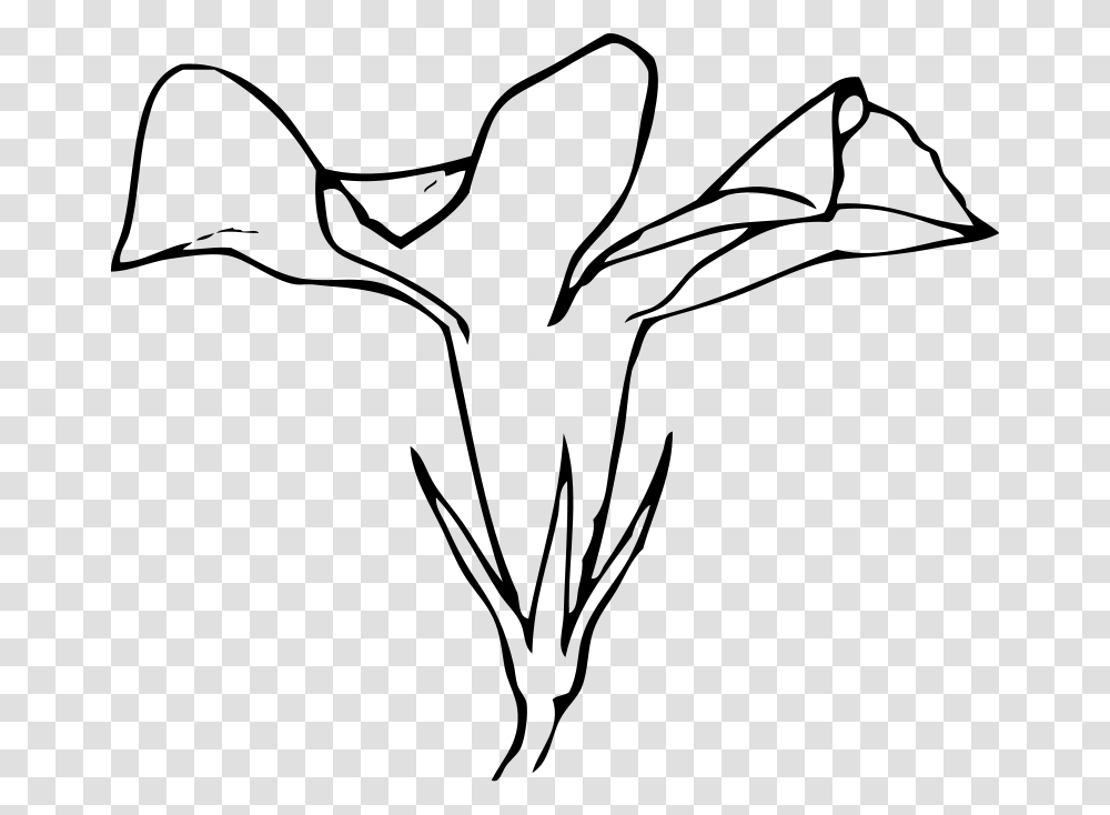 Lily Clip Art Free, Gray, World Of Warcraft Transparent Png