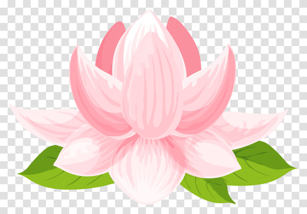 Lily Clip Art Sacred Lotus, Plant, Dahlia, Flower, Blossom Transparent Png