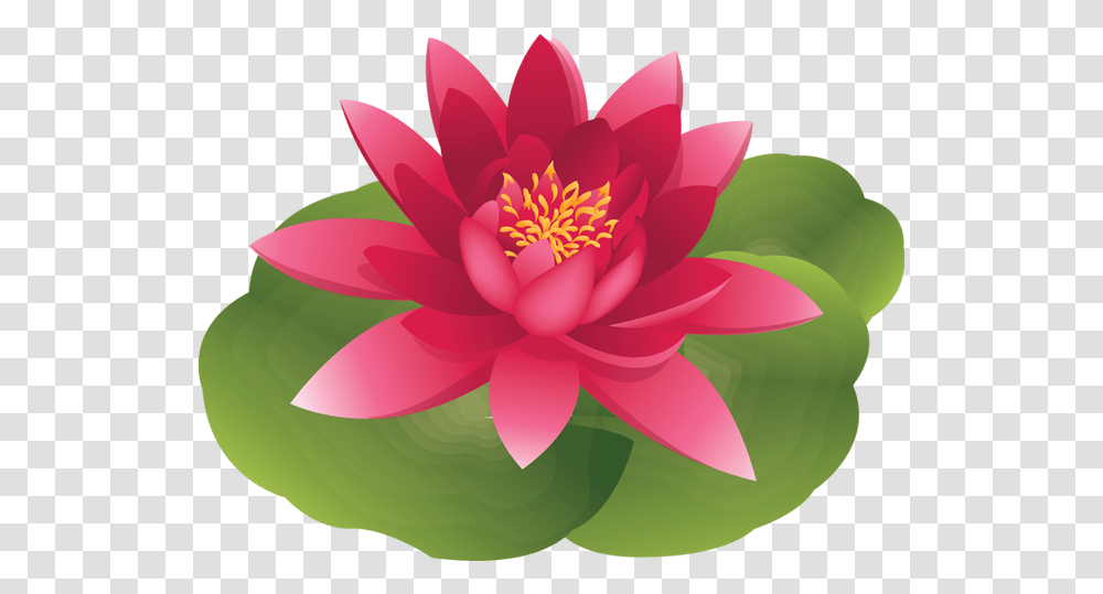 Lily Clipart Animated Water Lily Flower Cartoon, Plant, Blossom, Pond Lily, Dahlia Transparent Png