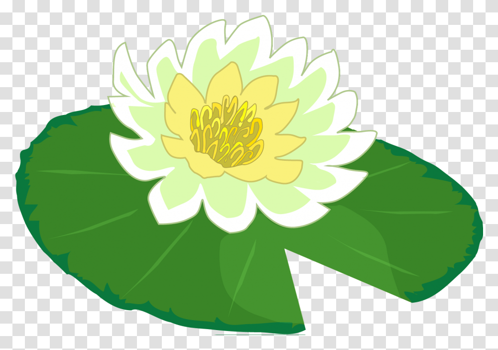 Lily Clipart Background Lily Pad, Plant, Flower, Blossom, Pond Lily Transparent Png