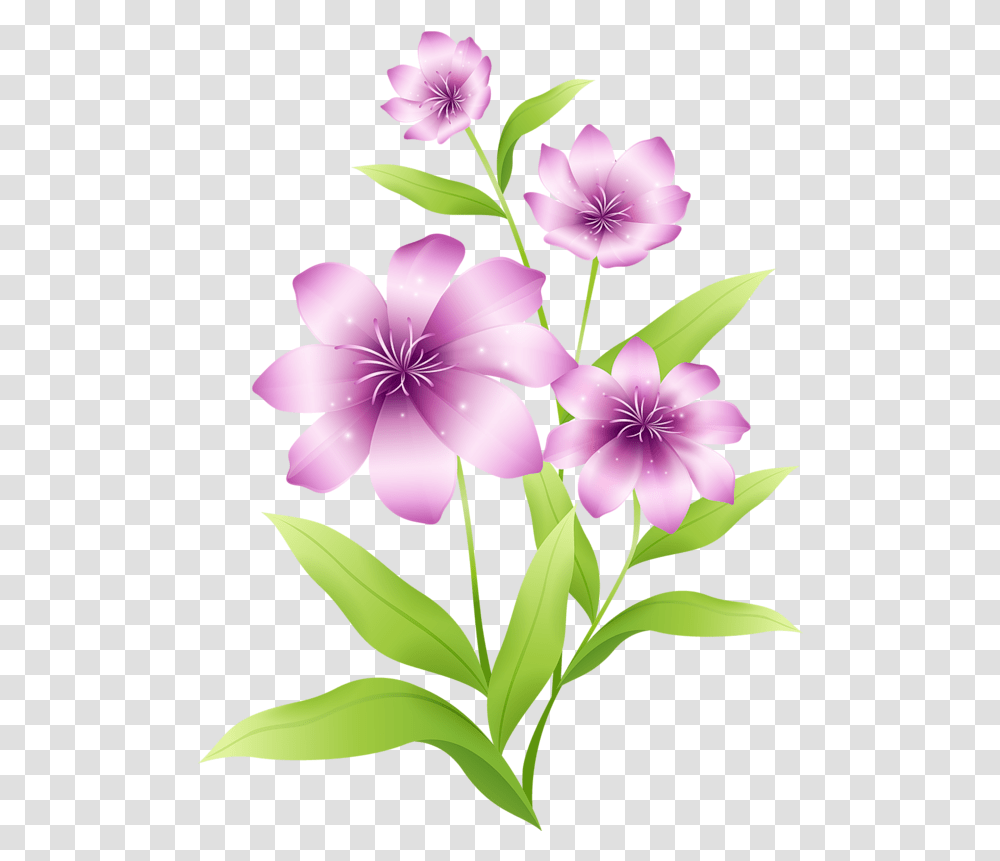 Lily Clipart Light Purple Flower Picture 1551841 Light Violet Flowers Clipart, Plant, Blossom, Petal, Anther Transparent Png