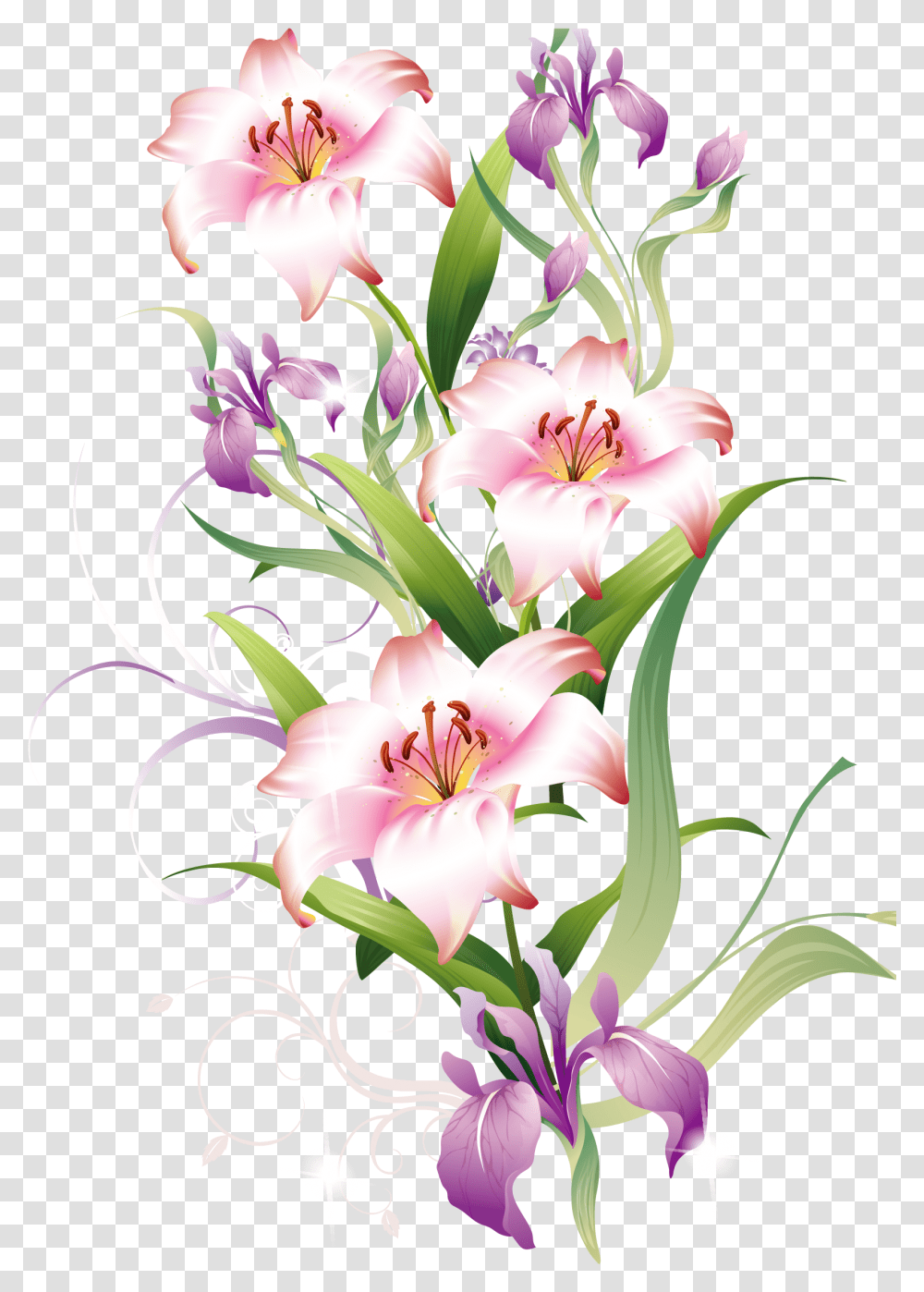 Lily Clipart Lilium Lily, Plant, Flower, Blossom Transparent Png