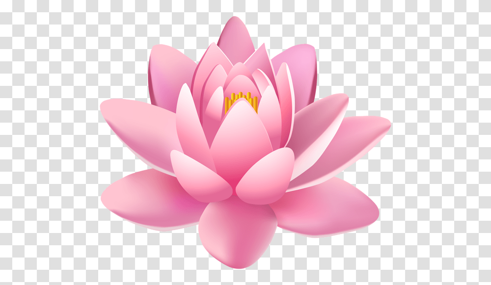 Lily Clipart Pink Lily Background Lotus Flower, Plant, Blossom, Pond Lily, Balloon Transparent Png