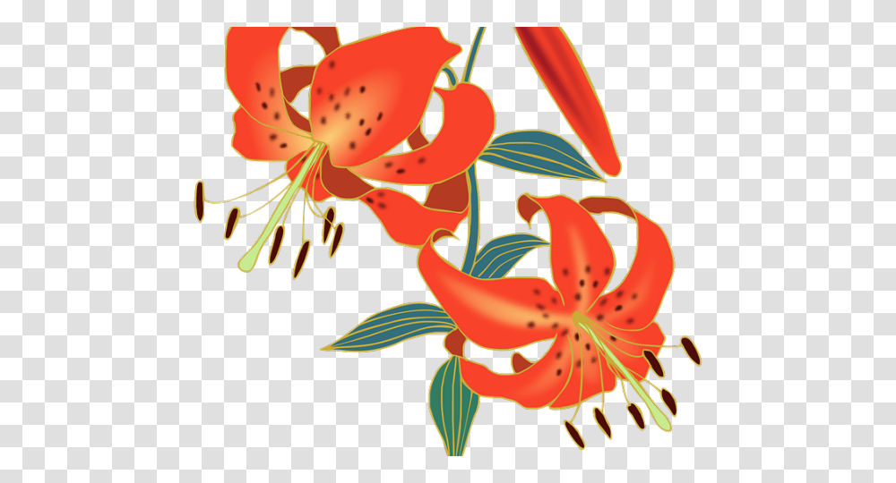 Lily Clipart Red Lily, Plant, Flower, Blossom, Anther Transparent Png