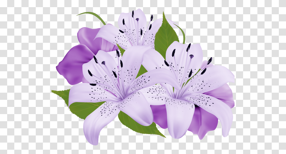 Lily Clipart Sea Flower Purple Flowers Clipart, Plant, Blossom, Anther, Pollen Transparent Png