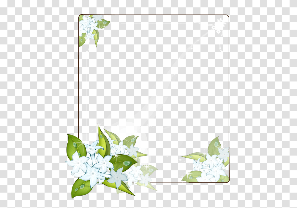 Lily Family, Floral Design, Pattern Transparent Png