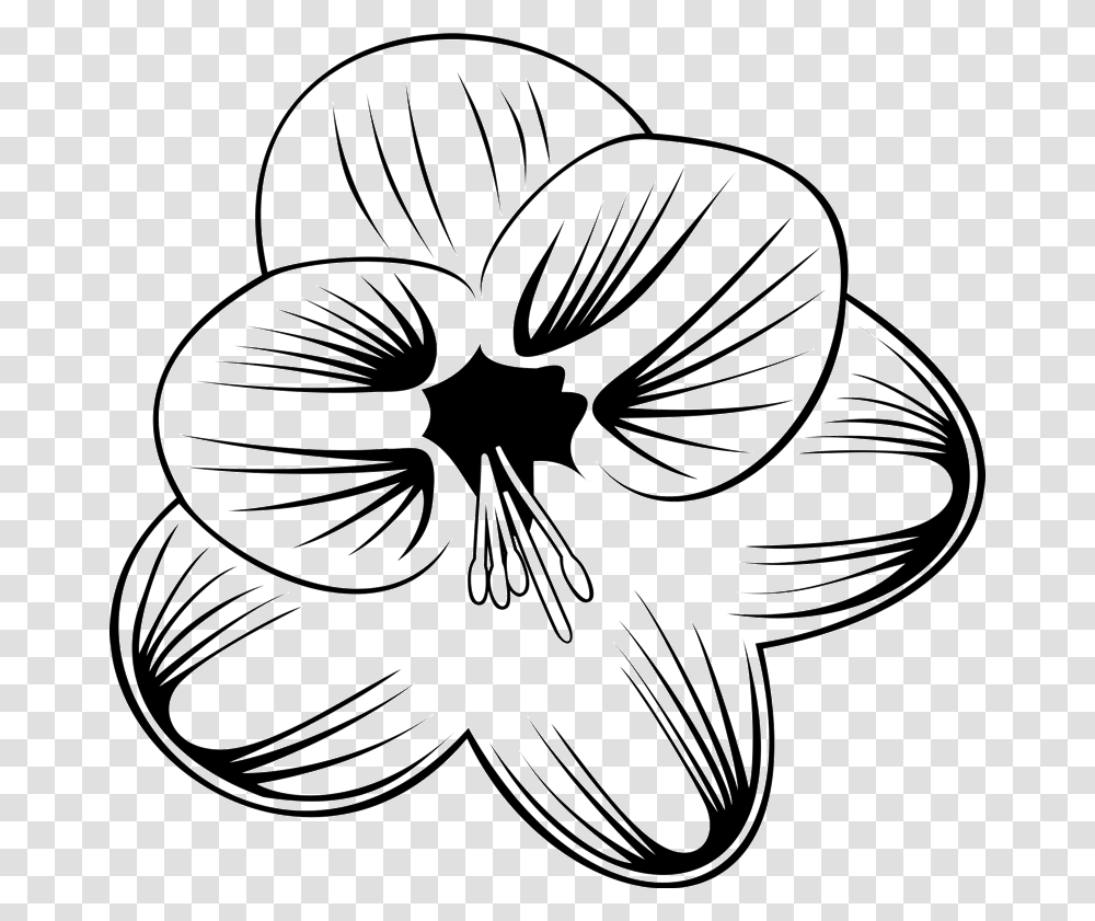 Lily Family, Plant, Flower, Blossom, Mixer Transparent Png