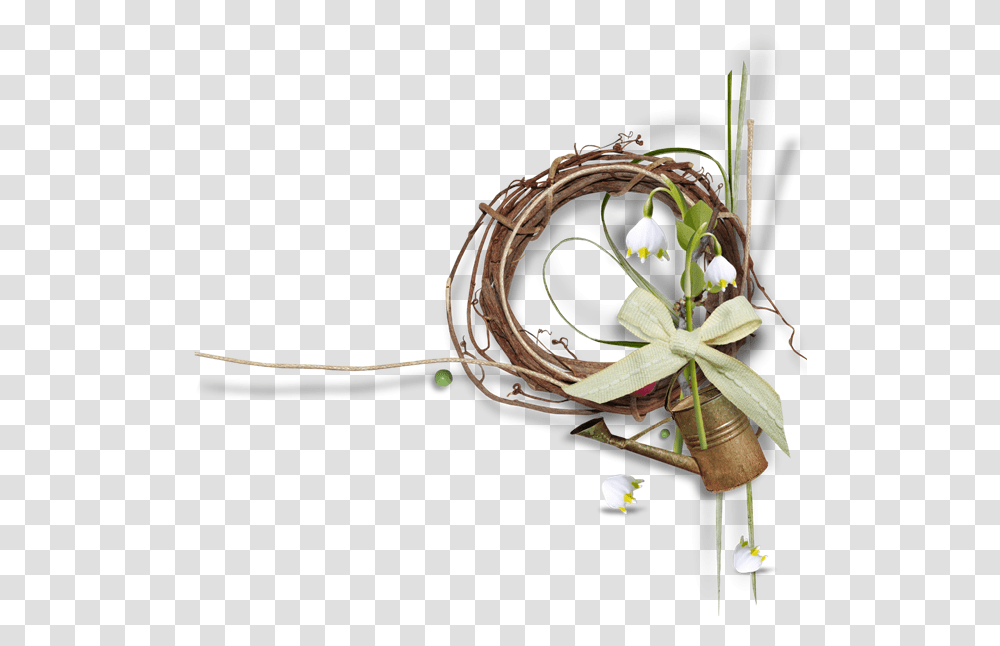 Lily Family, Plant, Flower, Floral Design, Pattern Transparent Png