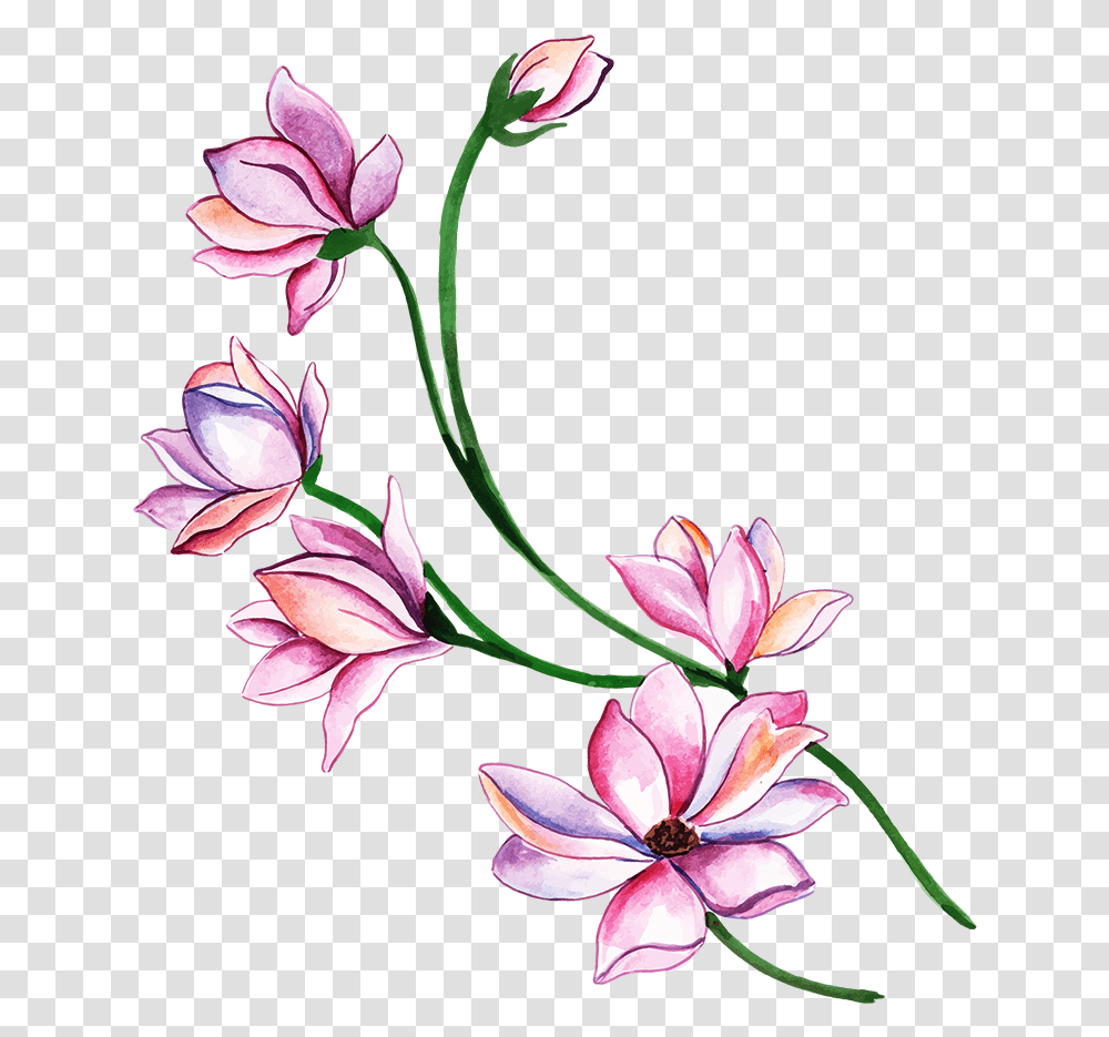 Lily, Floral Design, Pattern Transparent Png