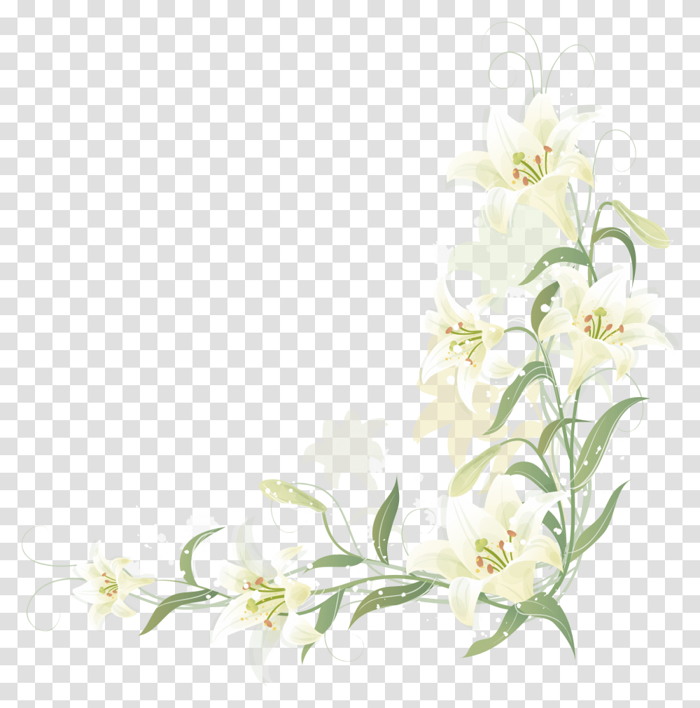 Lily Flower Border Lily Flower Border, Floral Design, Pattern, Graphics, Art Transparent Png