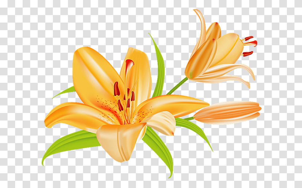 Lily Flower Bouquet Clipart Tiger Lily Clip Art, Plant, Blossom, Floral Design Transparent Png