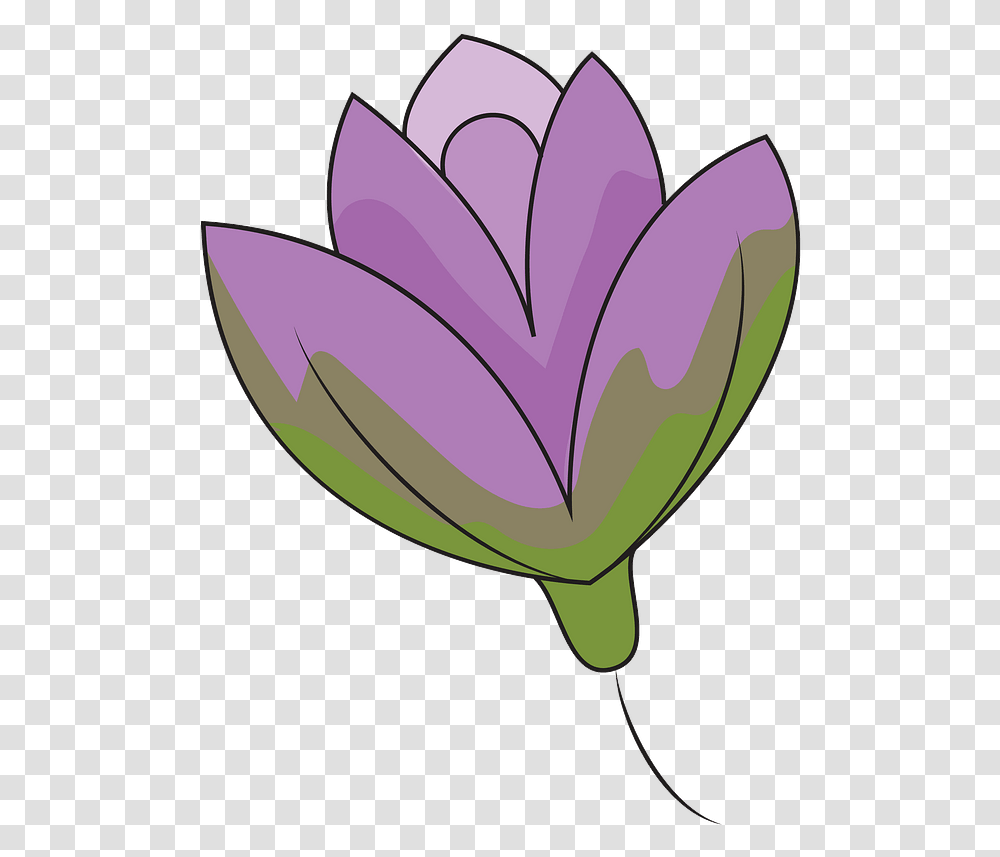 Lily Flower Clipart Free Download Creazilla Tulip, Plant, Vegetable, Food, Produce Transparent Png