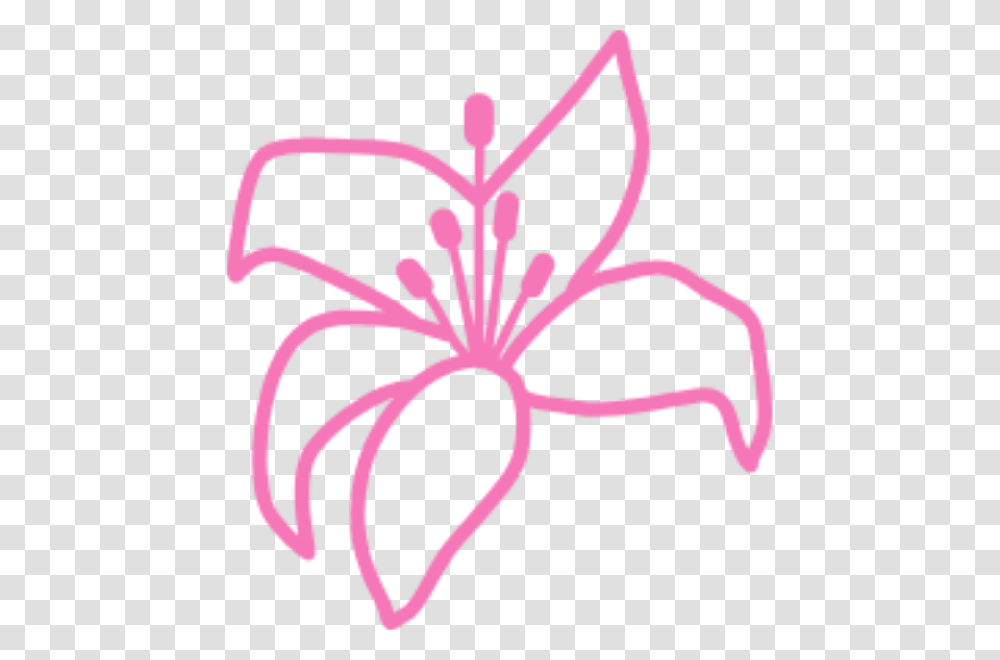 Lily Flower Icon, Plant, Anther, Vegetable, Food Transparent Png