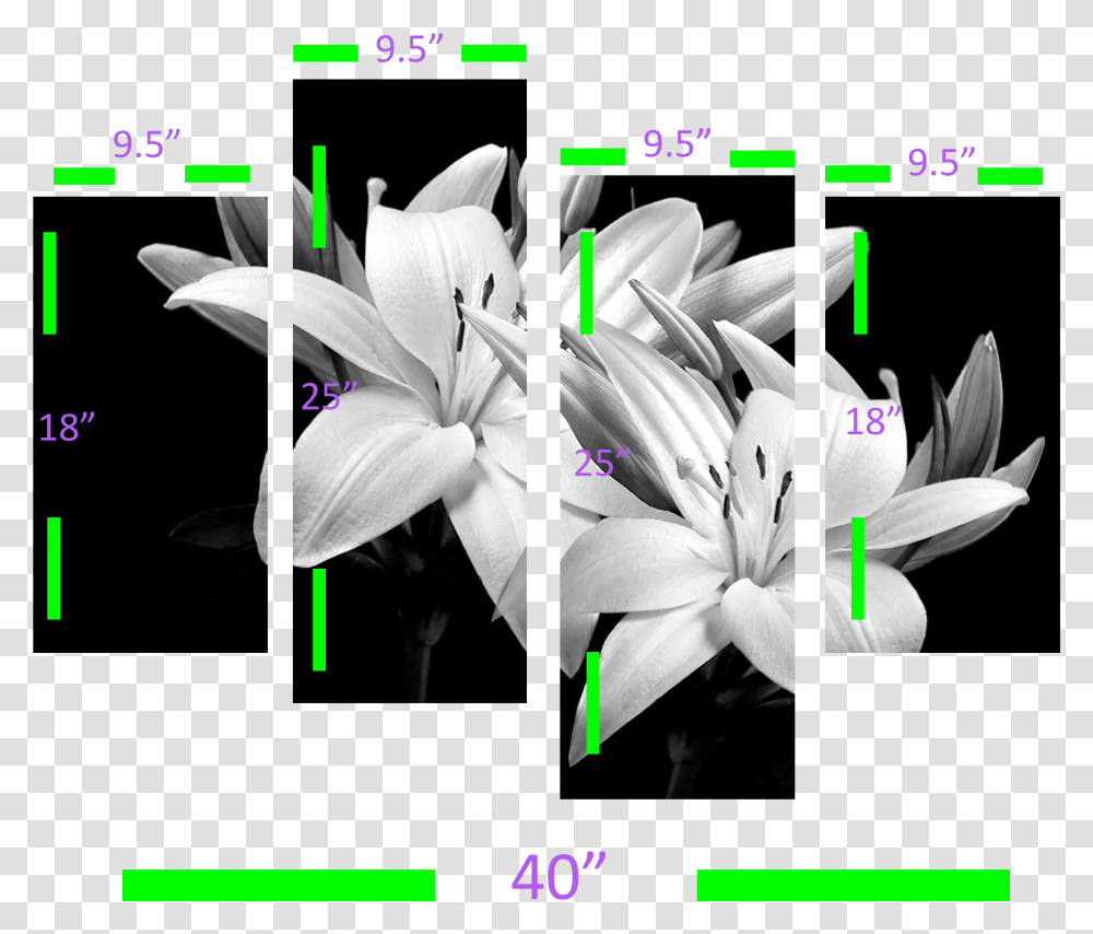Lily Flower Image Hd, Plant, Blossom, Pollen, Anther Transparent Png