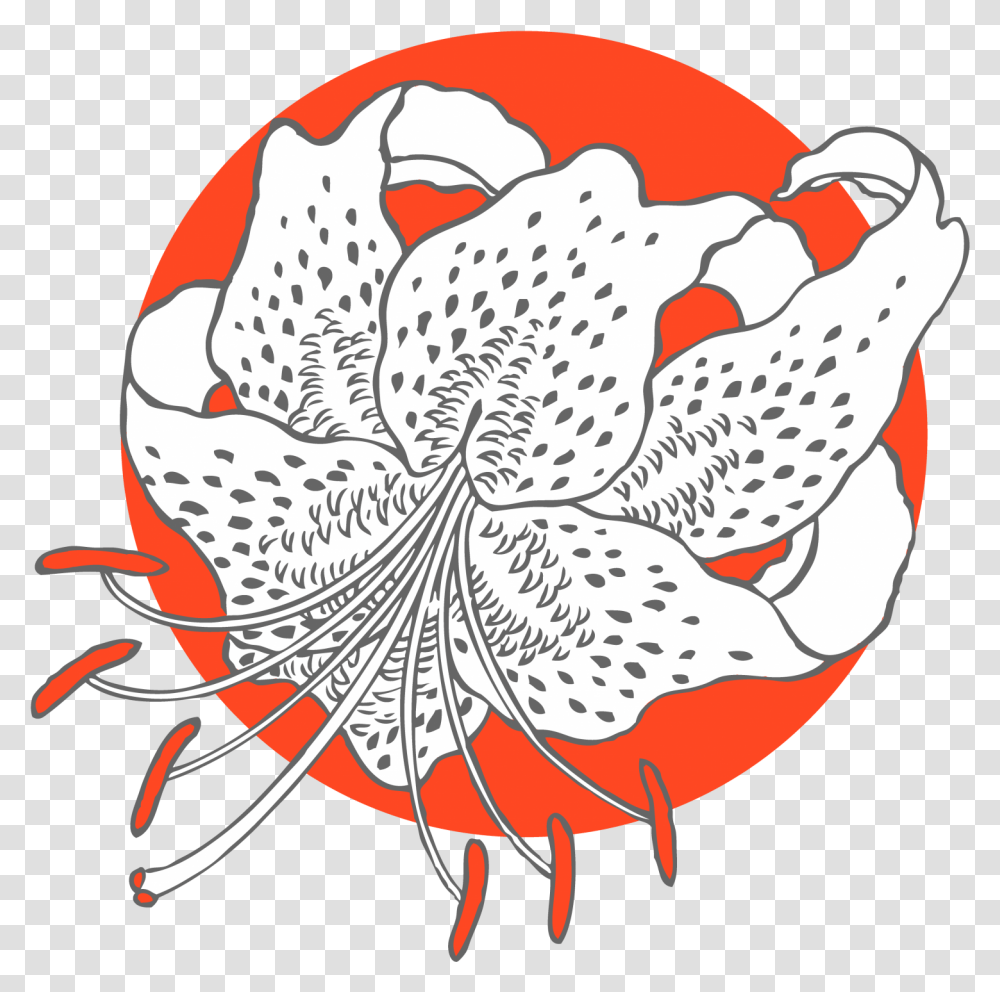 Lily Flower Orange Logo Free Stock Photo Public Domain, Plant, Blossom, Pollen, Petal Transparent Png
