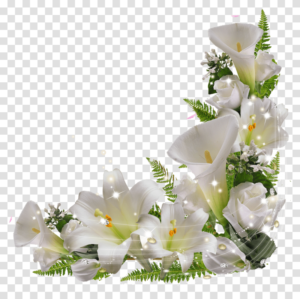 Lily Flower, Plant, Blossom, Flower Arrangement, Ikebana Transparent Png
