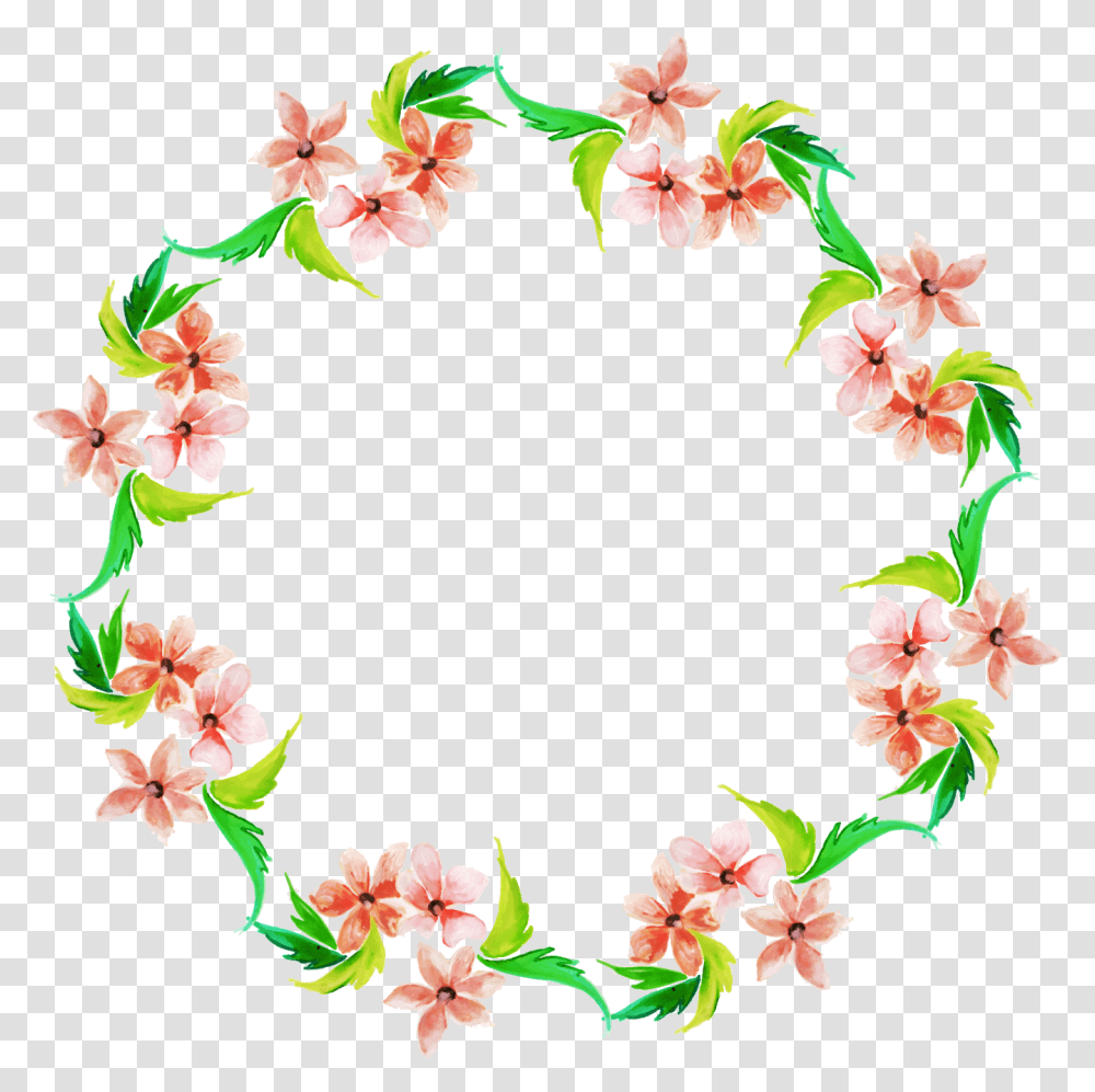Lily, Flower, Plant, Blossom Transparent Png