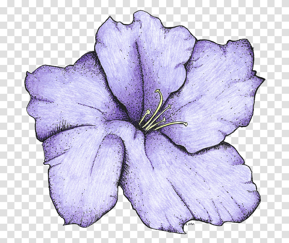 Lily, Geranium, Flower, Plant, Blossom Transparent Png