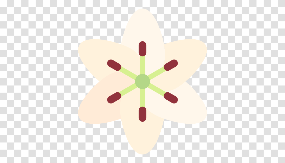 Lily Icon, Plant, Flower, Anther, Snowman Transparent Png