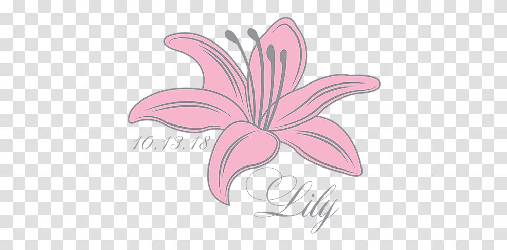 Lily Mitzvah Logo Birthday Logos, Plant, Flower, Blossom, Pattern Transparent Png