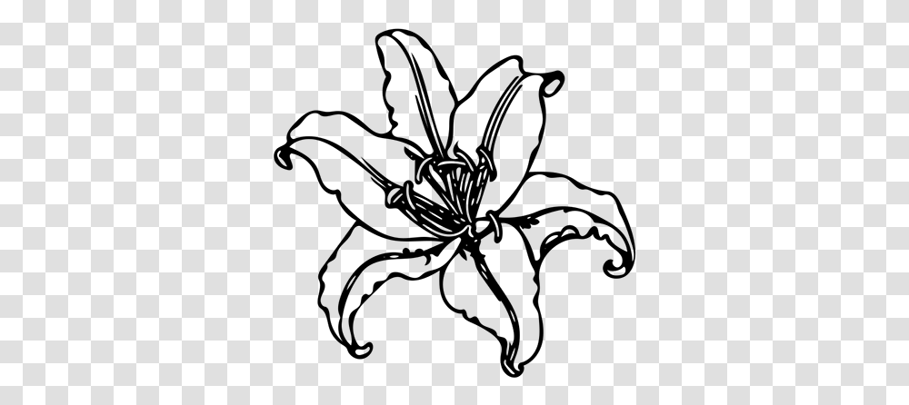 Lily, Nature, Outer Space, Astronomy, Outdoors Transparent Png