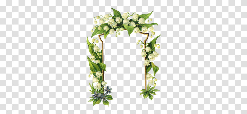Lily Of The Valley Flower Border, Plant, Green, Leaf, Floral Design Transparent Png