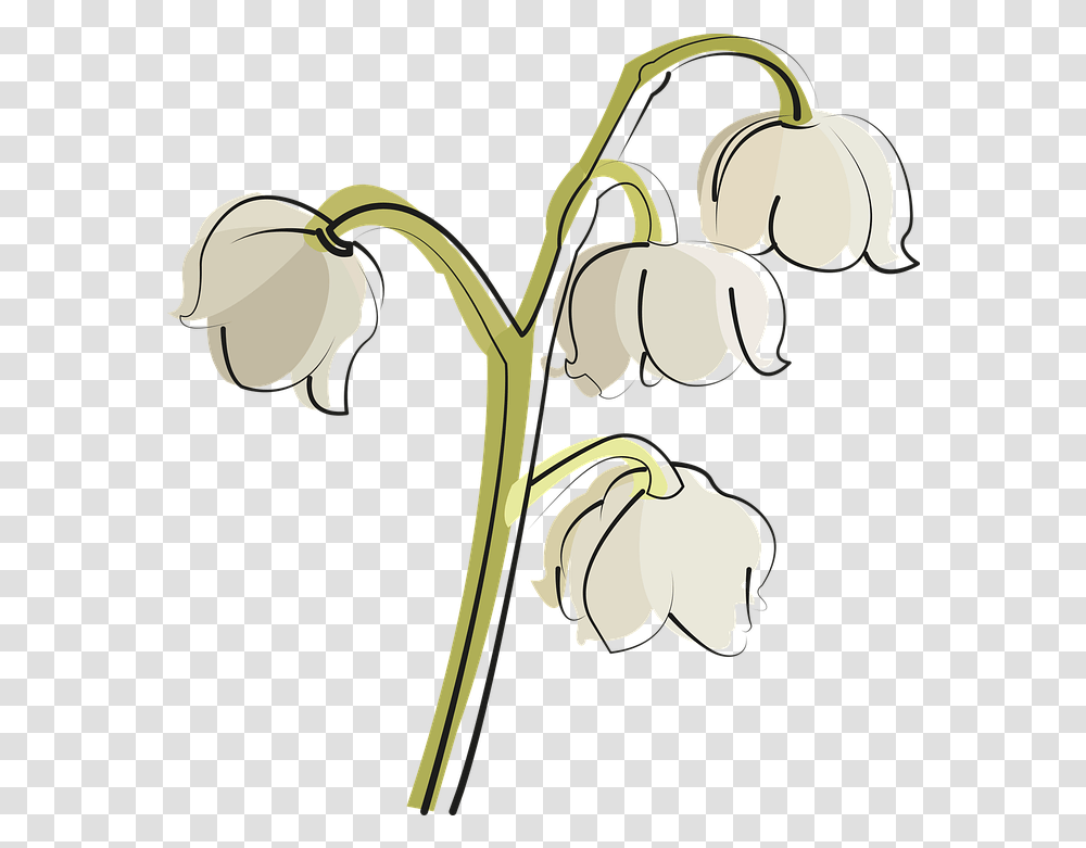 Lily Of The Valley Flower White Vector Lily Of The Valley, Plant, Blossom, Food, Fruit Transparent Png