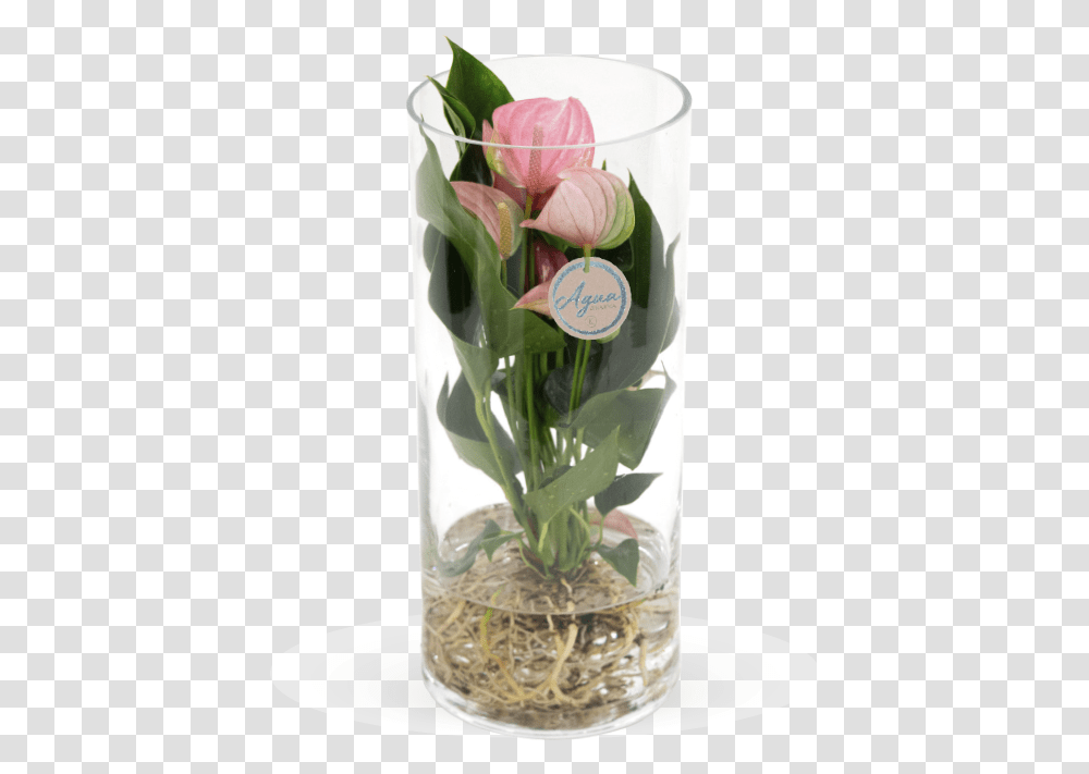 Lily Of The Valley, Plant, Flower, Blossom, Jar Transparent Png