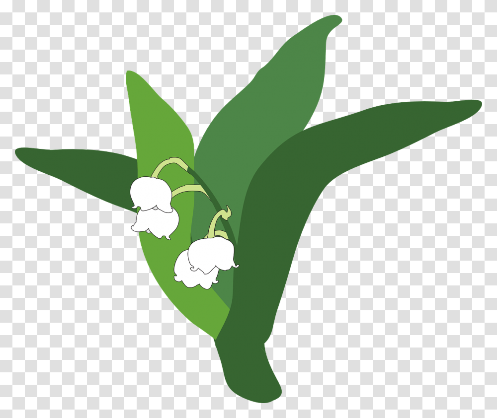 Lily Of The Valley Plant Flower Perennial Little Lirio Do Vale, Vegetable, Food, Produce, Leek Transparent Png