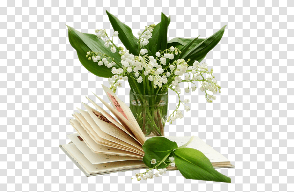 Lily Of The Valley Tubes 1er Mai, Plant, Floral Design, Pattern Transparent Png