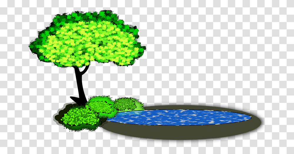 Lily Pad Clipart Pond, Green, Plant, Astronomy, Outer Space Transparent Png