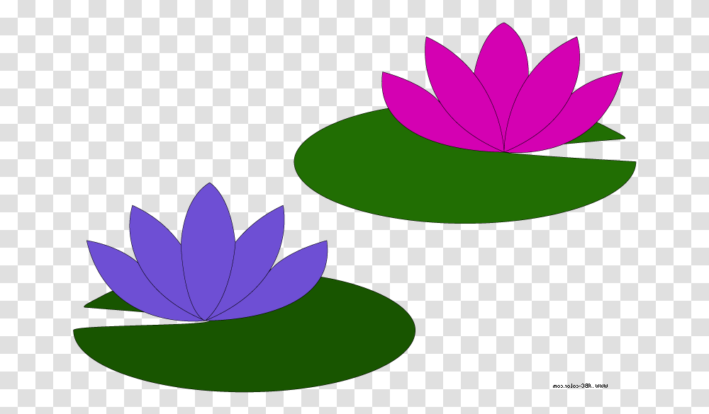 Lily Pad Flower Clipart Water Lily Lily Pad Clip Art, Purple, Plant, Petal, Leaf Transparent Png