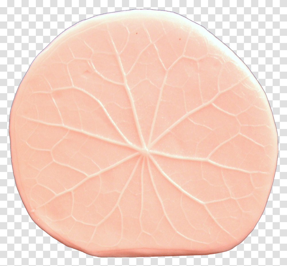 Lily Pad Leaf Circle, Tennis Ball, Pottery, Food, Rug Transparent Png