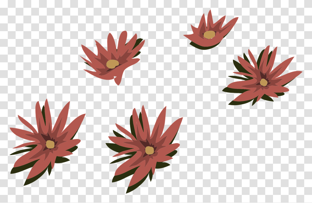 Lily, Plant, Flower, Blossom, Leaf Transparent Png