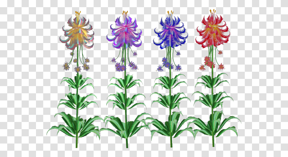 Lily, Plant, Flower, Blossom, Pattern Transparent Png