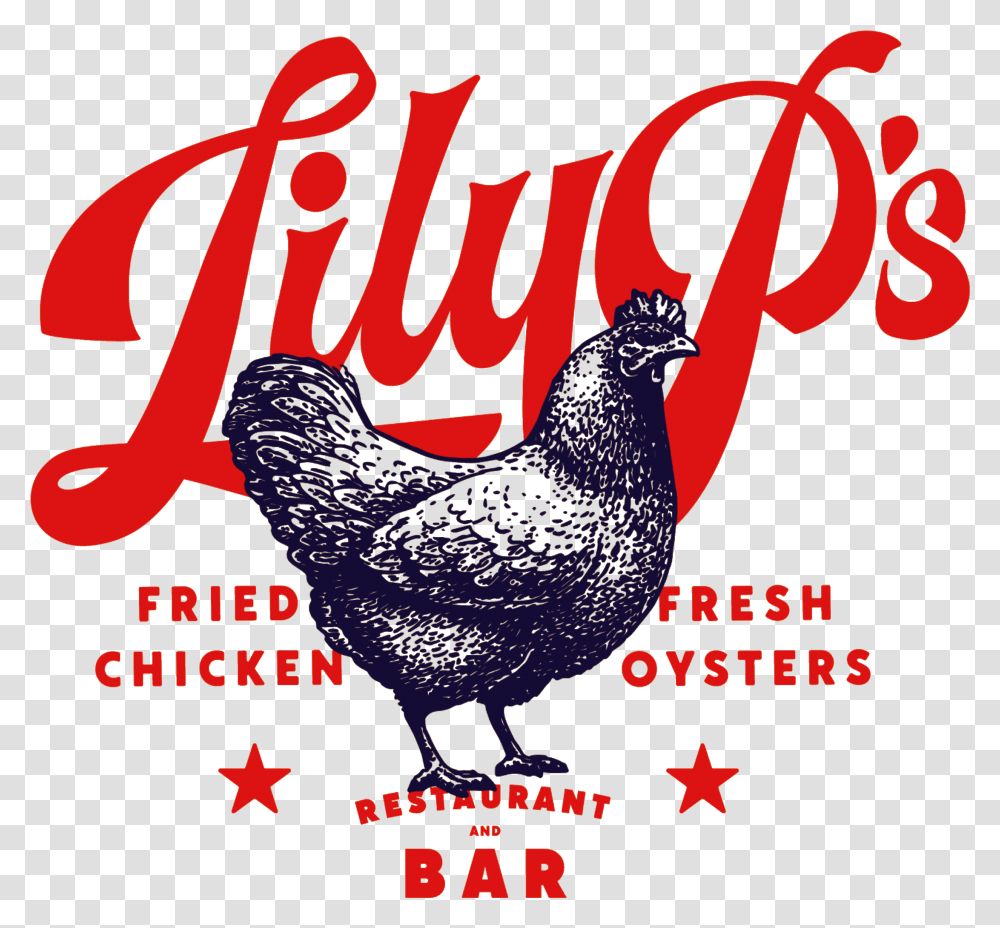 Lily P's Rooster, Text, Poster, Advertisement, Animal Transparent Png