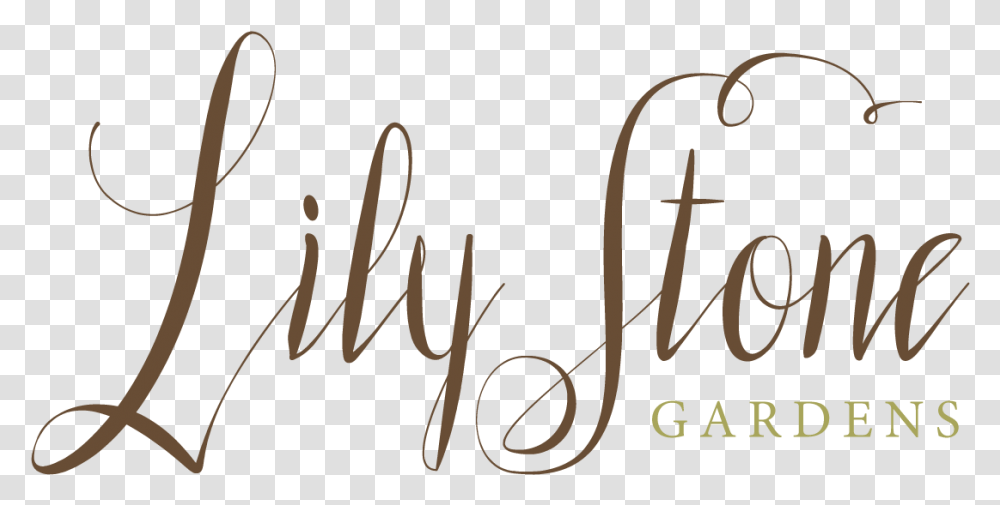 Lily Stone Gardens Logo Calligraphy, Handwriting, Alphabet, Label Transparent Png