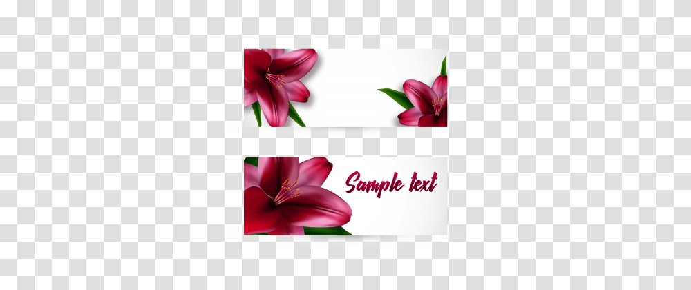 Lily Templates Design Templates For Free Download, Petal, Flower, Plant, Anther Transparent Png