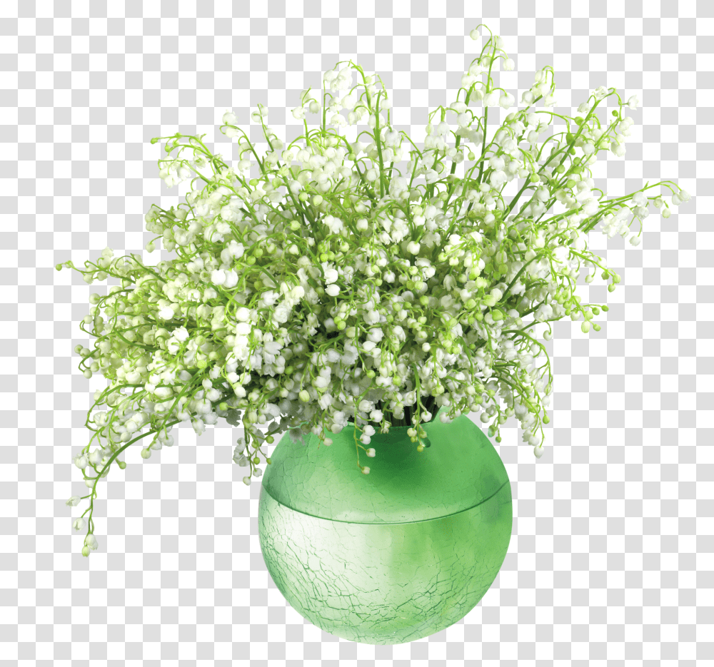 Lily Vase Vase De Fleure Deco Green Vase White Flower Transparent Png