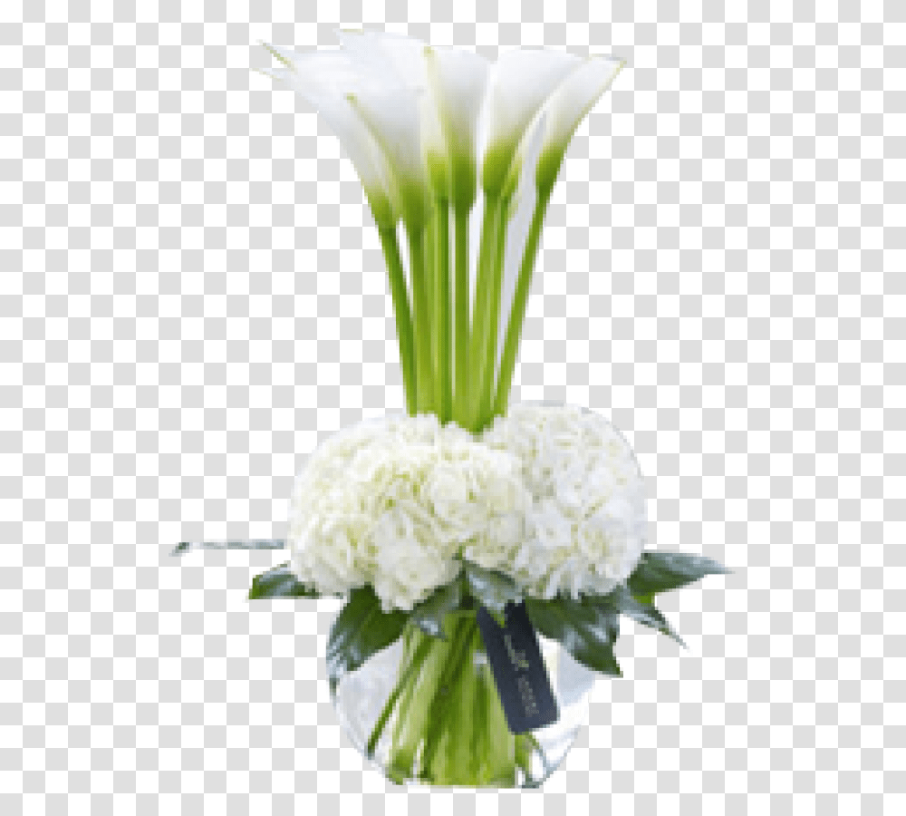 Lily Vase White Calla Lily Arrangements Calla Lily And Hydrangea, Plant, Flower, Blossom, Cauliflower Transparent Png