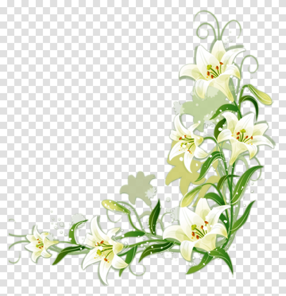 Lily Vector Border White Flower Border, Plant, Blossom, Pollen, Amaryllidaceae Transparent Png