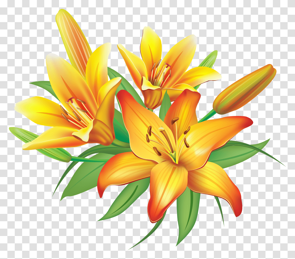 Lily Yellow Lilies Flowers Decoration Clipart Image Lilies Clipart Transparent Png