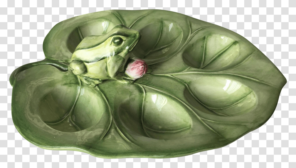 Lilypad Drawing Frog Toad Transparent Png