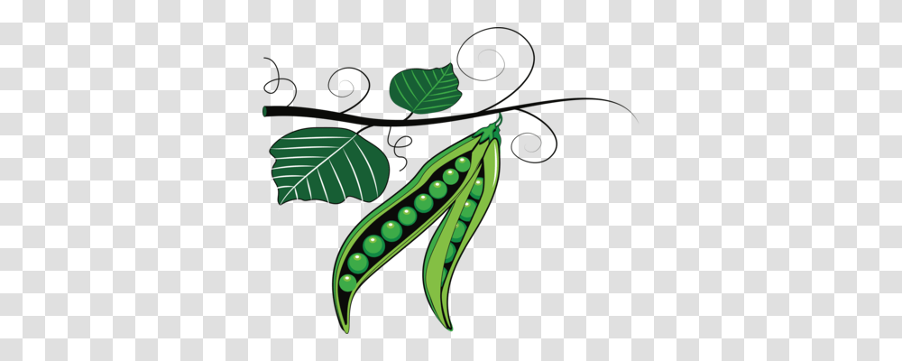 Lima Bean Rice And Beans Common Bean Legume, Plant, Vegetable, Food, Pea Transparent Png