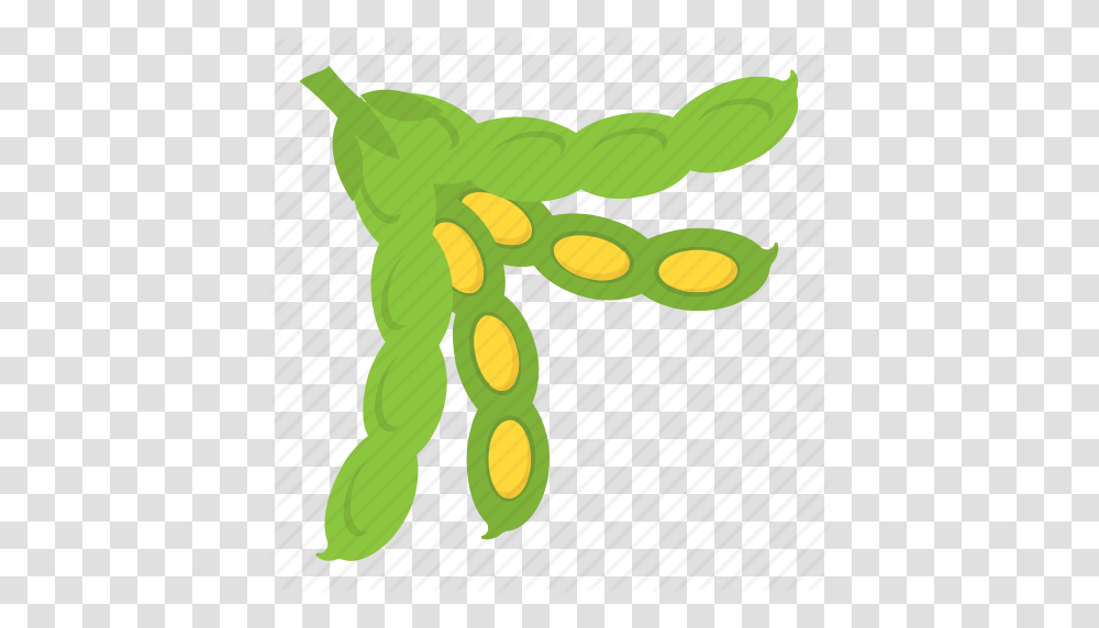 Lima Beans Clipart Green Food, Plant, Animal, Toy, Reptile Transparent Png