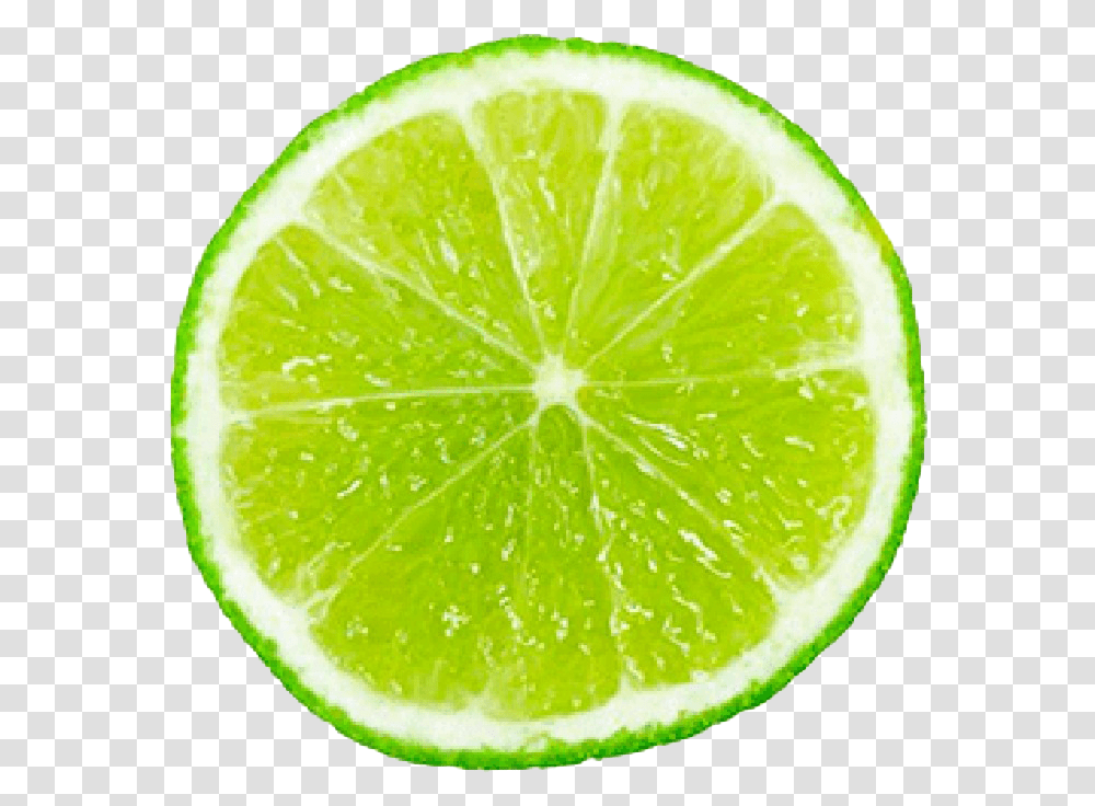 Lime Background Lime, Tennis Ball, Sport, Sports, Citrus Fruit Transparent Png