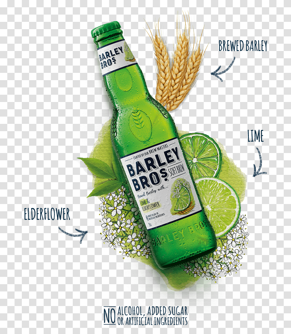 Lime Barley Bros, Citrus Fruit, Plant, Food, Liquor Transparent Png