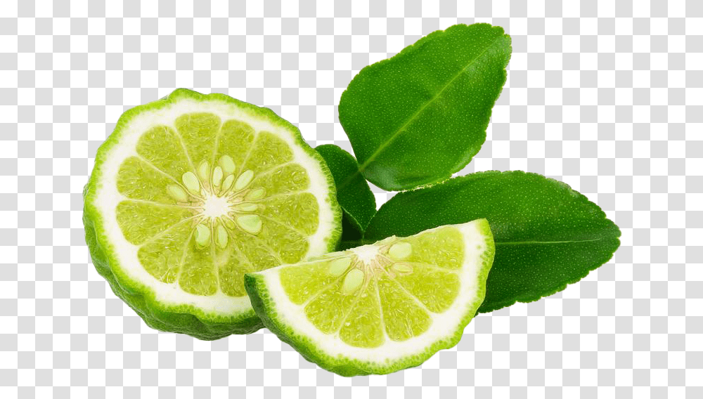 Lime, Citrus Fruit, Plant, Food, Lemon Transparent Png