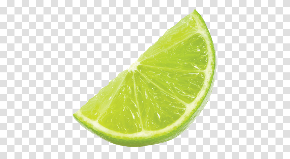 Lime, Citrus Fruit, Plant, Food, Pineapple Transparent Png